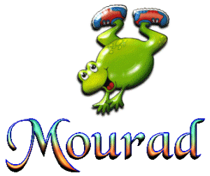 ci bon morad tu joli